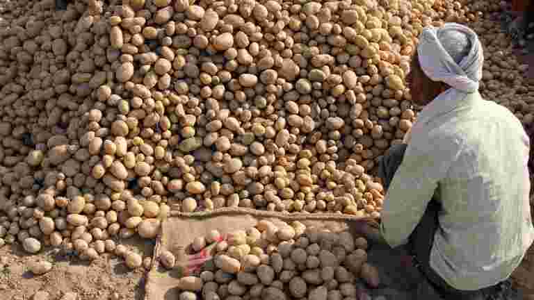 Pepsico對Gujarat Farmers的肆無忌憚的行動，“國會領導人Ahmed Patel表示
