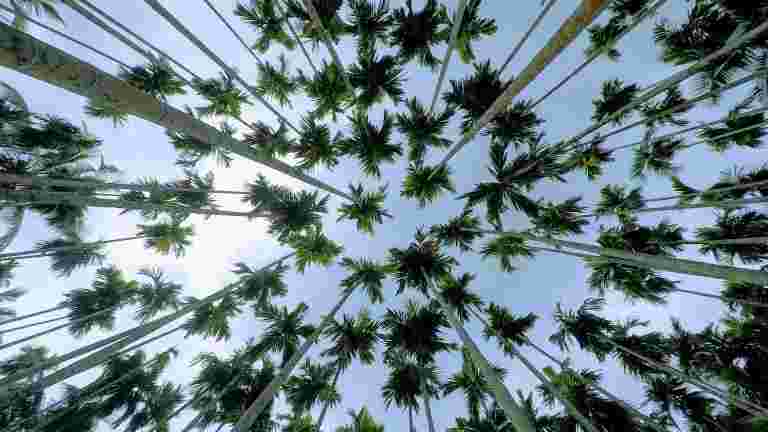 喀拉拉邦洪水：“我的生命保險公司”不敏感的消息“要求在最早的情況下確保我的死亡證明