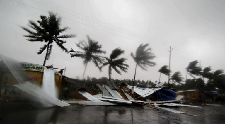 Cyclone Fani突然樹木，觸發了西孟加拉邦的大雨
