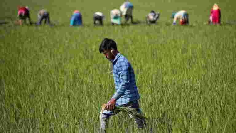 Agri infra Cess：知道它是什么！為什么國家對此不滿意？